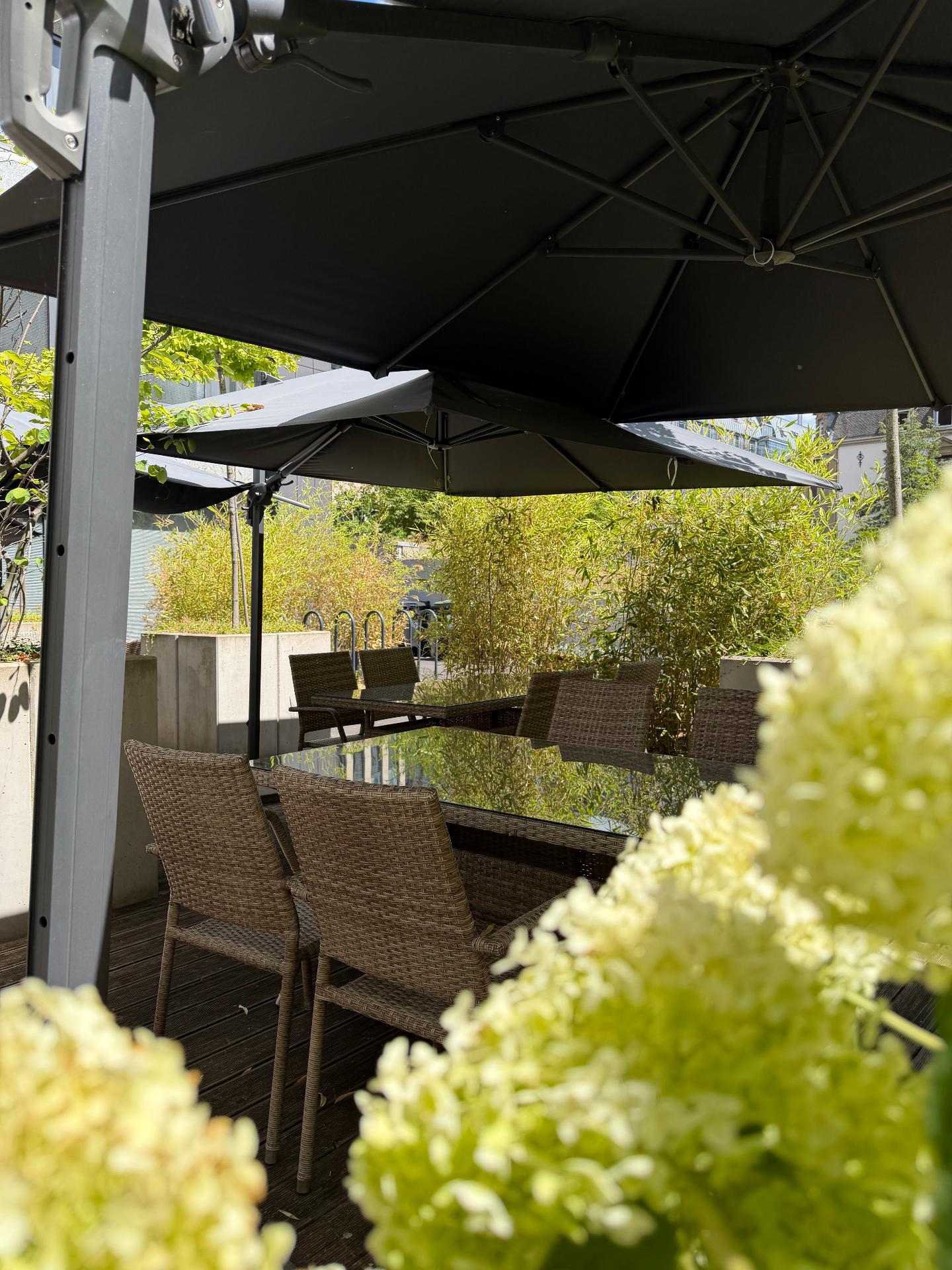 Terrasse mit großen Sonnenschirmen, Bambus und blühenden Hortensien