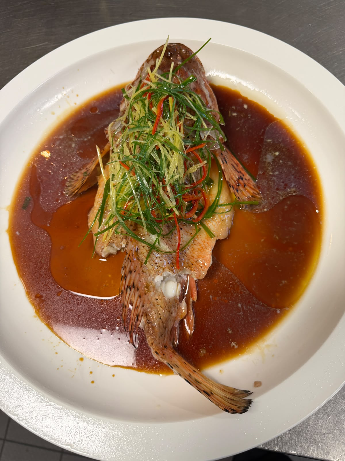 Gedämpfter roter Zackenbarsch 清蒸红石斑 mit Ingwer, Frühlingszwiebeln und Chili in aromatischer Sojasauce